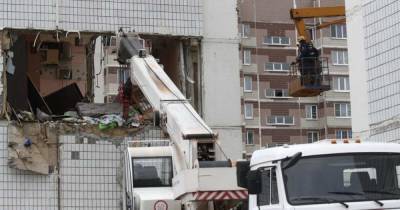 Животные пугливые и боятся: еще две кошки ждут спасения в Ногинске - ren.tv - городское поселение Богородский - Ногинск