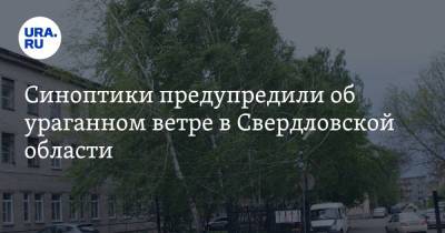 Синоптики предупредили об ураганном ветре в Свердловской области - ura.news - Россия - Свердловская обл.
