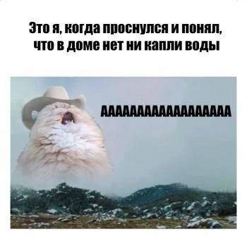 Вновь центр Вологды остался без воды в выходные - vologda-poisk.ru - Вологда