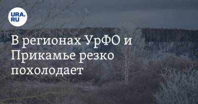 В регионах УрФО и Прикамье резко похолодает - ura.news - Челябинская обл. - Тюменская обл. - окр. Уральский