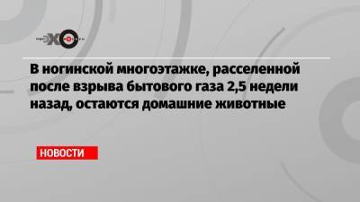 В ногинской многоэтажке, расселенной после взрыва бытового газа 2,5 недели назад, остаются домашние животные - echo.msk.ru