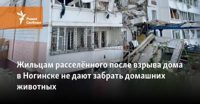 Жильцам расселённого после взрыва дома в Ногинске не дают забрать домашних животных - svoboda.org - Московская обл. - Ногинск