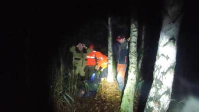 Пожилого грибника нашли в Балахнинском районе с помощью дрона - vgoroden.ru