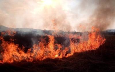 Реджеп Тайип - В Турции снова вспыхнули лесные пожары - korrespondent.net - Украина - Турция - Стамбул
