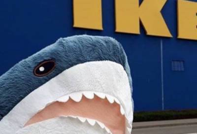 IKEA снимет с производства знаменитую синюю акулу Blahaj - online47.ru - Twitter