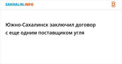 Сергей Надсадин - Южно-Сахалинск заключил договор с еще одним поставщиком угля - sakhalin.info - Южно-Сахалинск