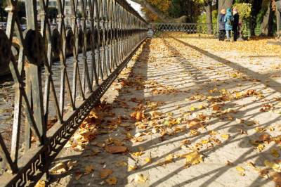 Петербуржцам обещают потепление в понедельник - neva.today - Санкт-Петербург
