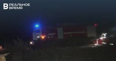 В Татарстане загорелась будка с инвентарем в приюте для собак - realnoevremya.ru - респ. Татарстан