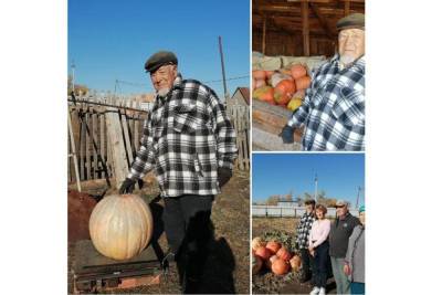 92-летний дедушка из Башкирии вырастил гигантскую тыкву - bash.news - Башкирия - район Баймакский