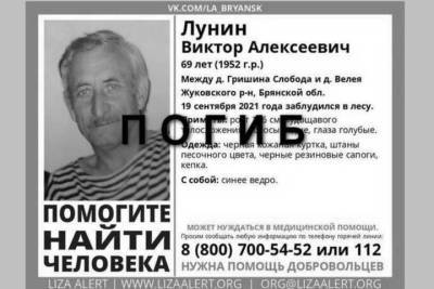 Элизабет Алерт - Под Брянском погиб в лесу пожилой грибник - mk.ru - Брянск - Брянская обл. - район Жуковский