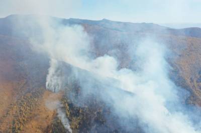 В Хабаровском крае третьи сутки горит лесной пожар - hab.aif.ru - Хабаровский край - район Солнечный