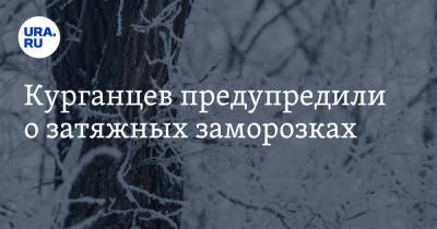Курганцев предупредили о затяжных заморозках - ura.news - Россия - Курганская обл. - Курган