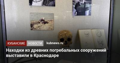 Находки из древних погребальных сооружений выставили в Краснодаре - kubnews.ru - Краснодарский край - Краснодар