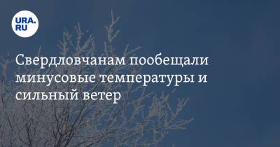 Свердловчанам пообещали минусовые температуры и сильный ветер - ura.news - Россия - Свердловская обл. - Уральск