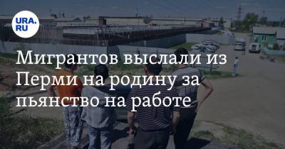 Мигрантов выслали из Перми на родину за пьянство на работе - ura.news - Узбекистан - Пермь - Пермский край