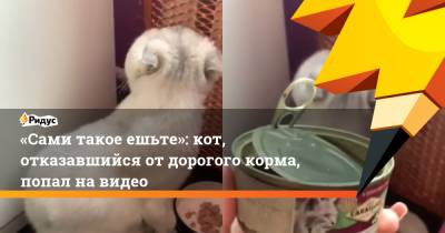«Сами такое ешьте»: кот, отказавшийся от дорогого корма, попал на видео - ridus.ru