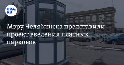 Наталья Котова - Мэру Челябинска представили проект введения платных парковок - ura.news - Челябинск