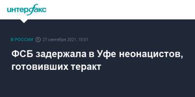 ФСБ задержала в Уфе неонацистов, готовивших теракт - interfax.ru - Москва - Россия - Башкирия - Уфа