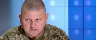 Валерий Залужный - Главнокомандующий ВСУ оценил готовность Украины к НАТО - w-n.com.ua - Украина