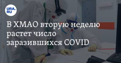 В ХМАО вторую неделю растет число заразившихся COVID - ura.news - Ханты-Мансийск - Сургут - Югра - Нефтеюганск - Нижневартовск - р-н Советский