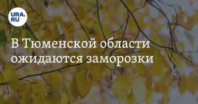В Тюменской области ожидаются заморозки - ura.news - Россия - Тюменская обл.