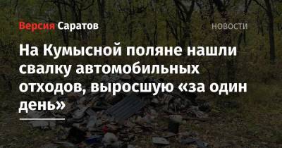На Кумысной поляне нашли свалку автомобильных отходов, выросшую «за один день» - nversia.ru - Экология
