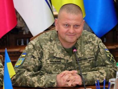 Валерий Залужный - Киев в НАТО, Тбилиси в ЕС - vpk-news.ru - Украина - Киев - Тбилиси
