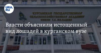 Власти объяснили истощенный вид лошадей в курганском вузе. Фото - ura.news - Курганская обл.
