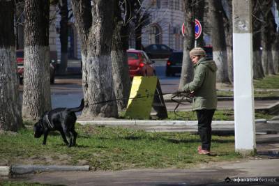Разработаны новые требования к выгулу домашних животных - afanasy.biz - Россия - Кабинет Министров
