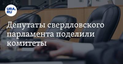 Людмила Бабушкина - Депутаты свердловского парламента поделили комитеты - ura.news - Свердловская обл.