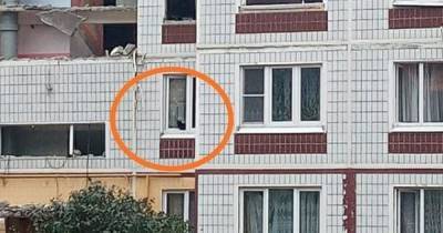 В России 17 кошек и собак почти три недели ждут спасения в частично разрушенном доме (фото) - focus.ua - Россия - Украина - Московская обл. - Ногинск