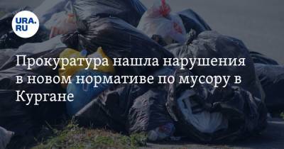 Прокуратура нашла нарушения в новом нормативе по мусору в Кургане - ura.news - Курганская обл.