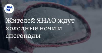 Жителей ЯНАО ждут холодные ночи и снегопады - ura.news - окр. Янао