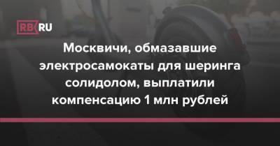 Москвичи, обмазавшие электросамокаты для шеринга солидолом, выплатили компенсацию 1 млн рублей - rb.ru - Москва