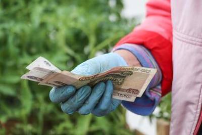 Российские власти отказались увеличить МРОТ до 20 тысяч рублей - lenta.ru - Россия