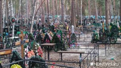 Виктор Елисеев - В уральском городке вандалы разгромили кладбище - newdaynews.ru - Челябинская обл. - Челябинск