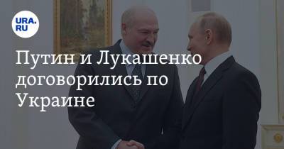 Владимир Путин - Александр Лукашенко - Путин и Лукашенко договорились по Украине - ura.news - Россия - США - Украина - Белоруссия
