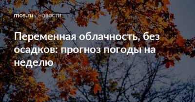 Переменная облачность, без осадков: прогноз погоды на неделю - mos.ru - Москва