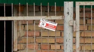 Пензенцам пообещали отловить бездомных псов на Ново-Казанской - penzainform.ru - Пенза - Нападение