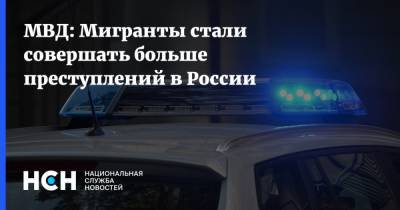 МВД: Мигранты стали совершать больше преступлений в России - nsn.fm - Россия