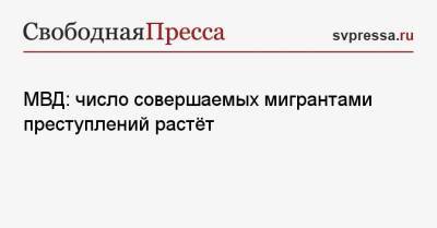 МВД: число совершаемых мигрантами преступлений растёт - svpressa.ru - Россия - США