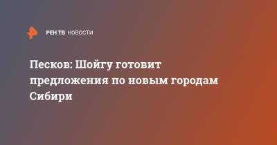 Сергей Шойгу - Владимир Путин - Дмитрий Песков - Песков: Шойгу готовит предложения по новым городам Сибири - ren.tv - Россия