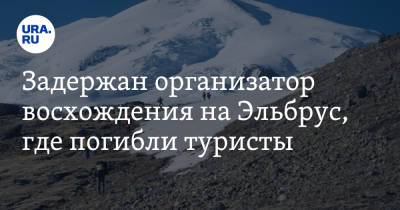 Задержан организатор восхождения на Эльбрус, где погибли туристы - ura.news - Россия - респ. Кабардино-Балкария