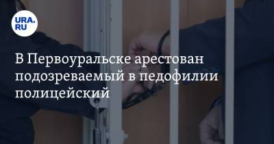 Александр Бастрыкин - В Первоуральске арестован подозреваемый в педофилии полицейский - ura.news - Россия - Первоуральск