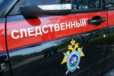 Задержан организатор восхождения на Эльбрус, в ходе которого погибли 5 человек - etokavkaz.ru - Россия - респ. Кабардино-Балкария
