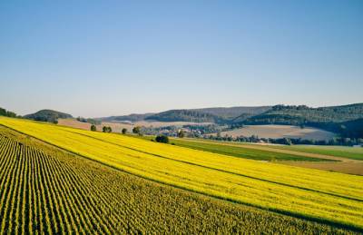 KWS определилась с программой целей устойчивого развития до 2030 г. - agroportal.ua - Украина