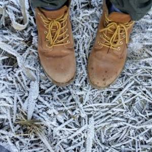 В Украине прогнозируют сильные заморозки - reporter-ua.com - Украина