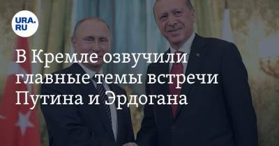 Владимир Путин - Дмитрий Песков - Тайип Эрдоган - В Кремле озвучили главные темы встречи Путина и Эрдогана - ura.news - Россия - Сирия - Турция - Афганистан - Ливия