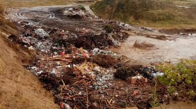 «Вода станет отравленной». Жители села под Воронежем пожаловались на незаконную свалку - vestivrn.ru - Воронеж - район Новоусманский