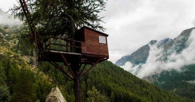 Панорамные иглу и дома на дереве: самые необычные отели мира - ren.tv